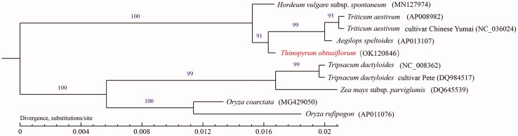 Figure 1.