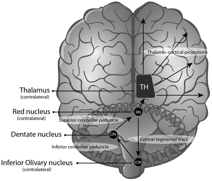 Fig 1.