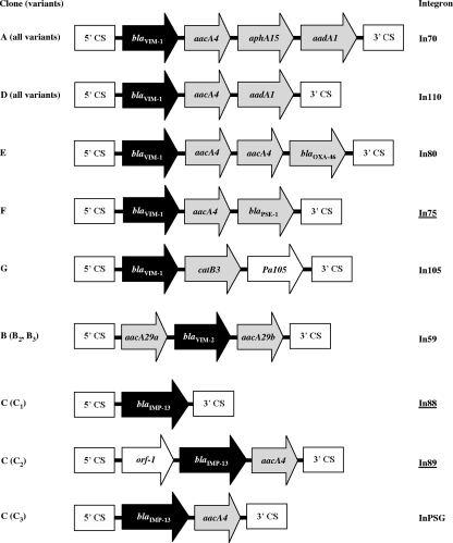 FIG. 2.