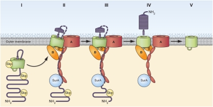 Fig. 5.