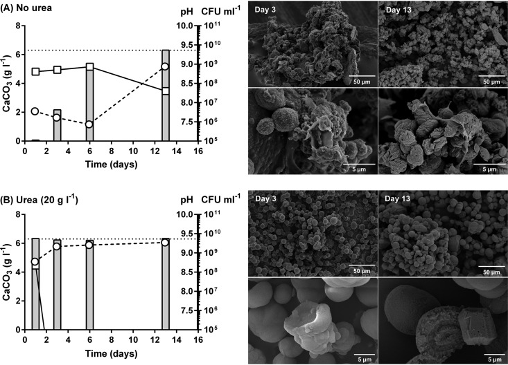 FIG 6