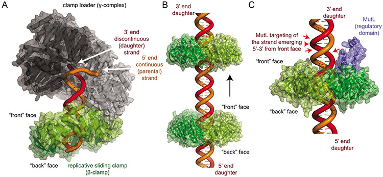 Figure 5.