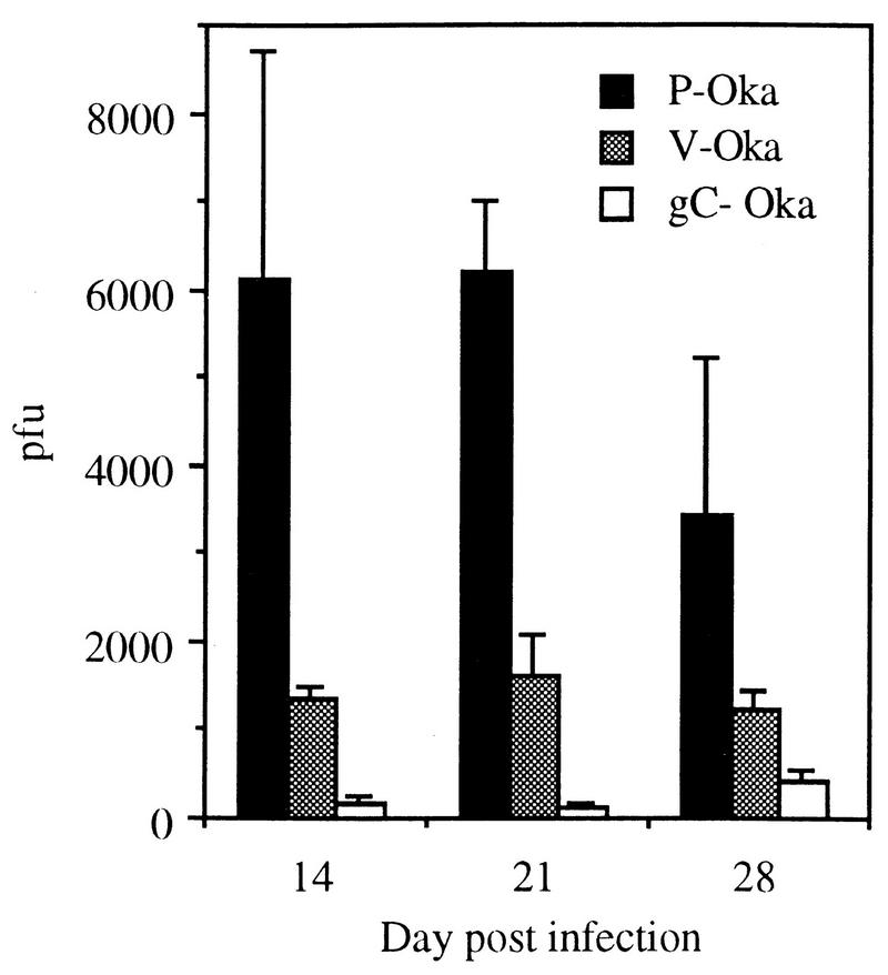 FIG. 3