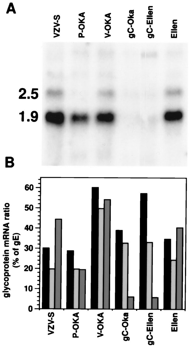 FIG. 5