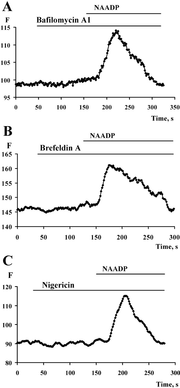 Figure 7.