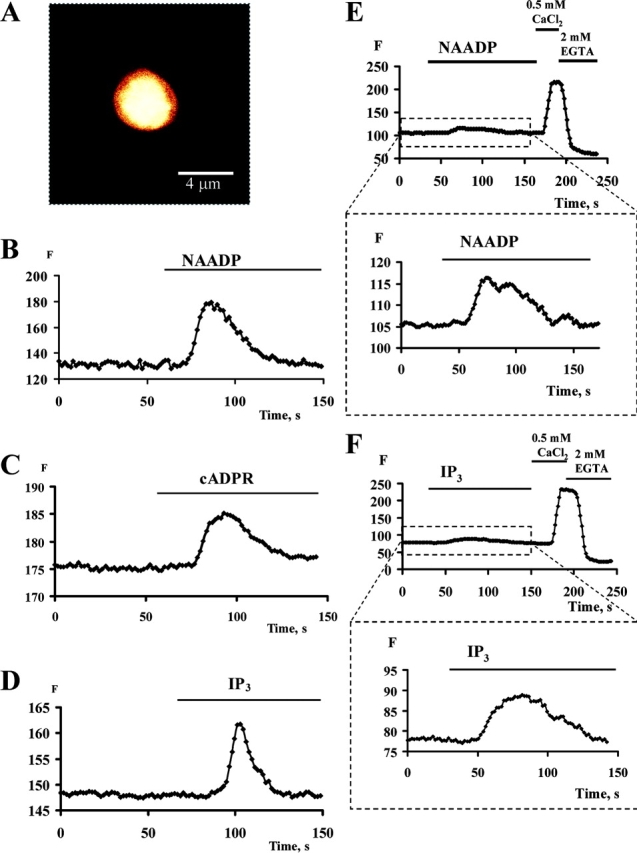 Figure 5.