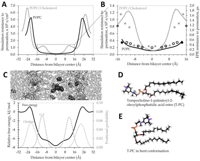 Fig.1