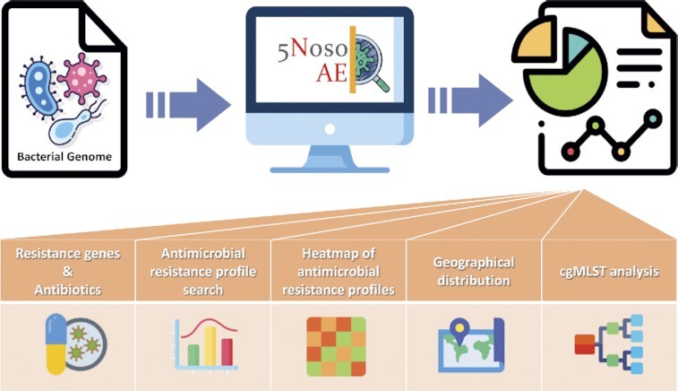 Graphical Abstract