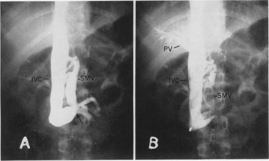 Fig. 10.