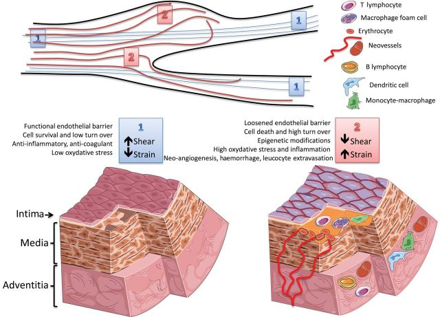 Figure 3