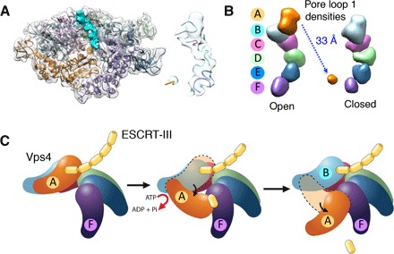 Fig. 4