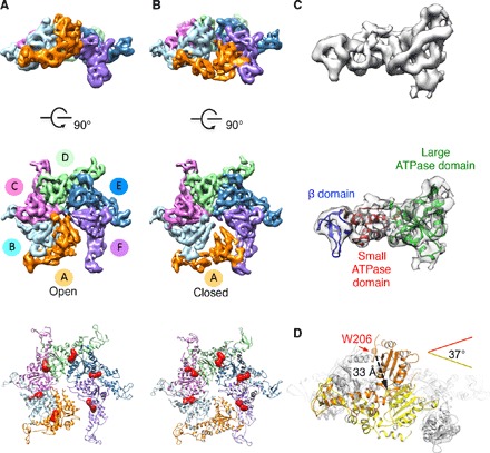 Fig. 1