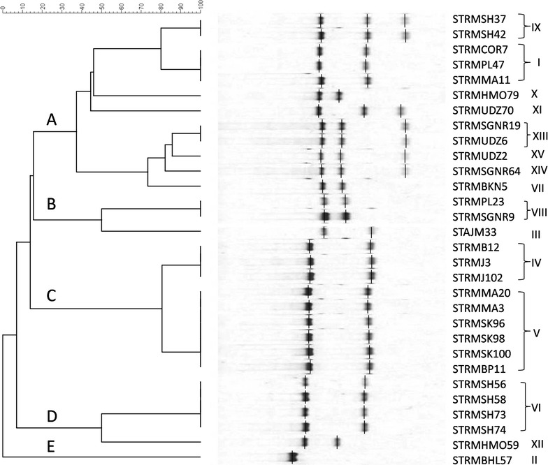 Fig. 4