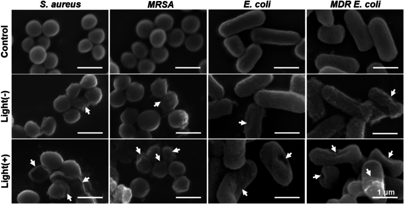 Figure 5