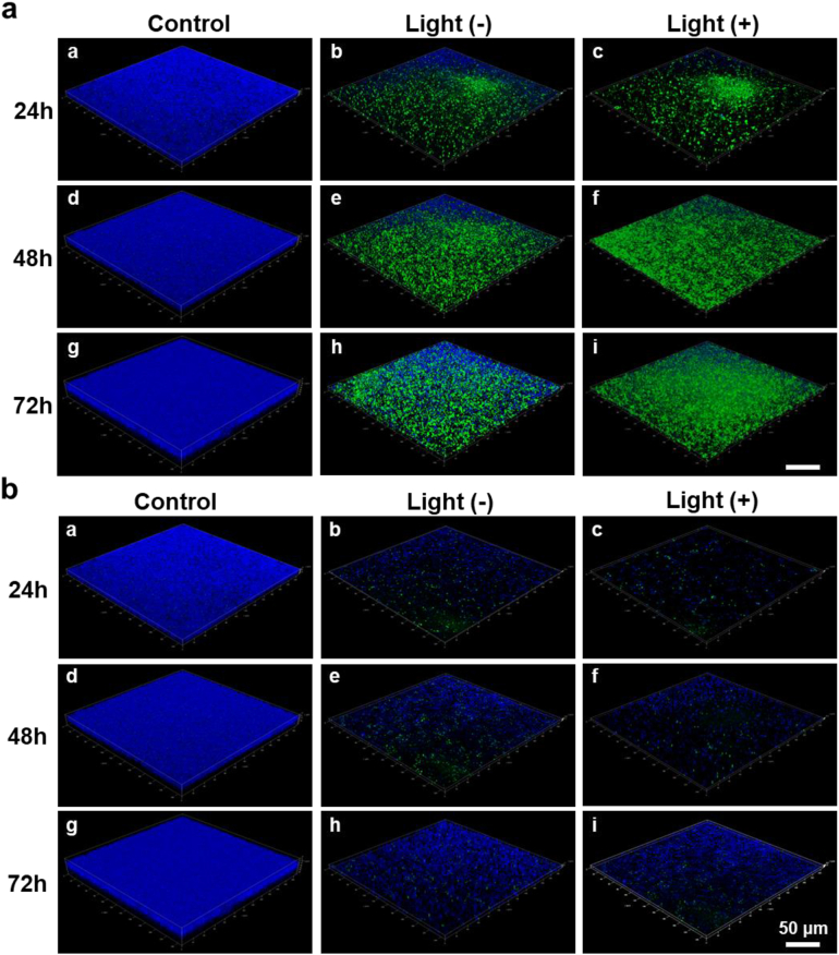 Figure 7