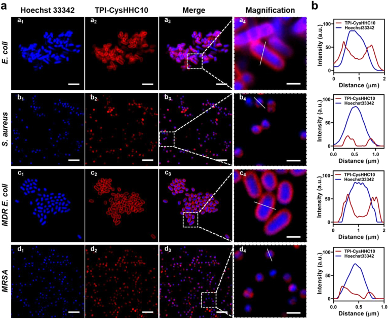 Figure 4