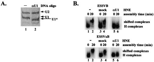 FIG. 5.