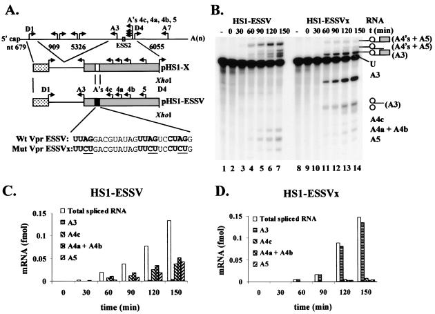 FIG. 6.