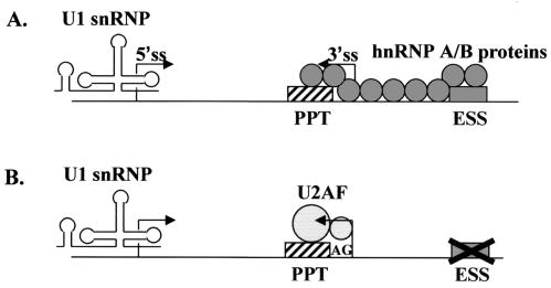 FIG. 7.