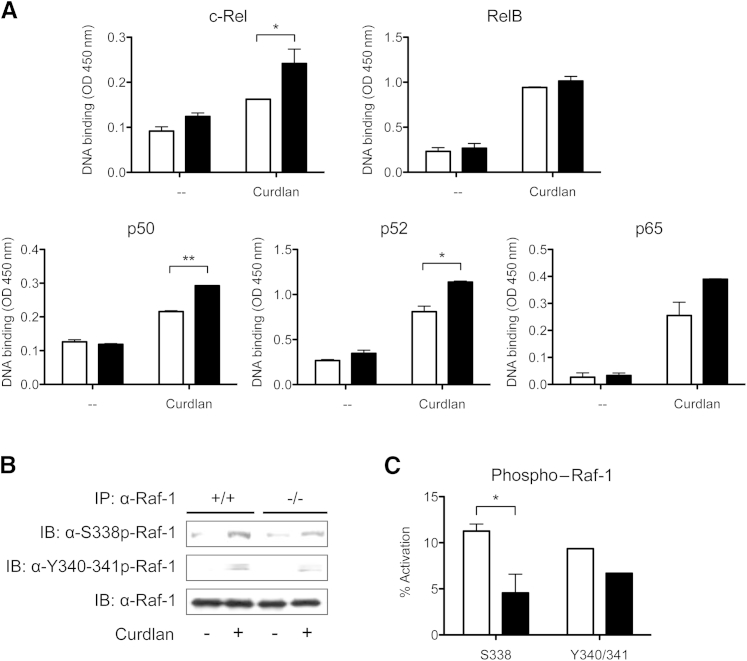 Figure 6