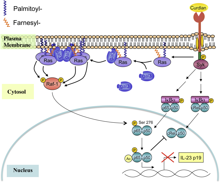 Figure 11