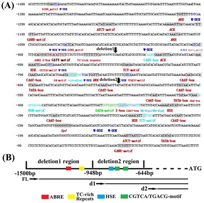 Fig 8