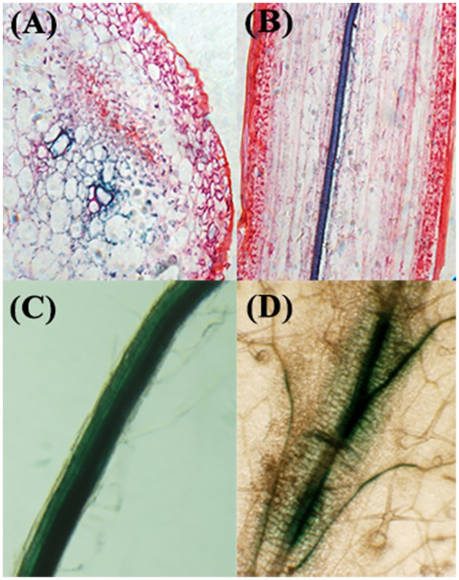 Fig 4