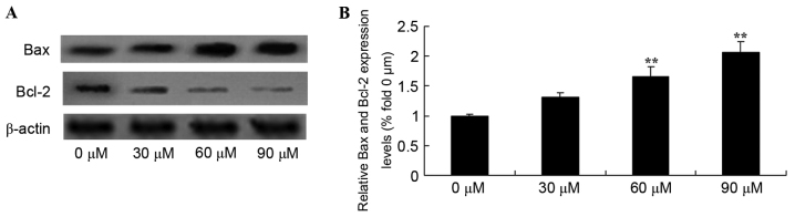 Figure 5.