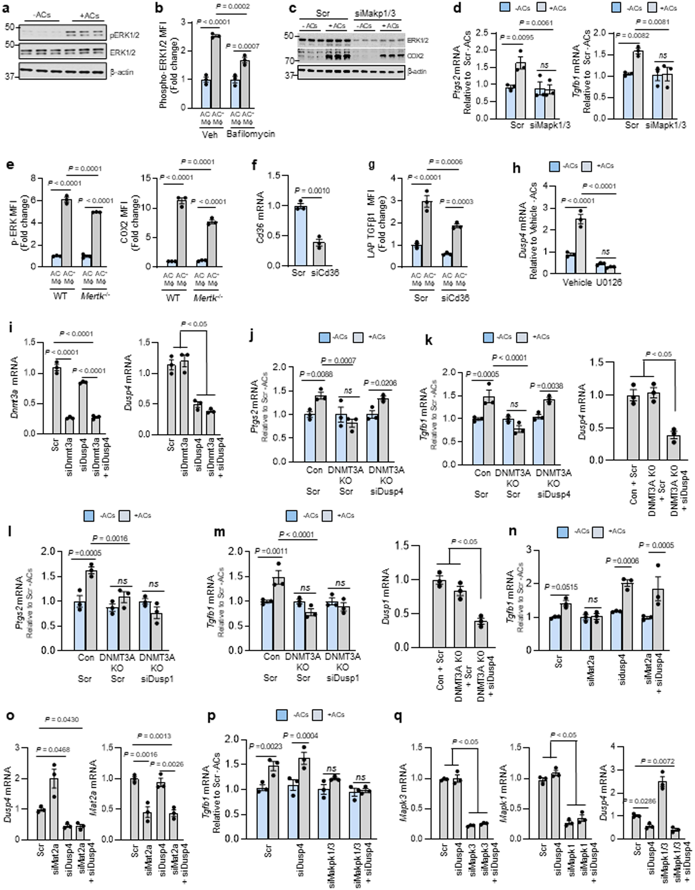 Extended Data Fig. 3