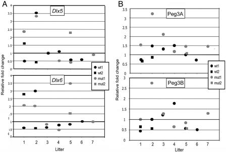 Figure  6. 