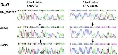 Figure  4. 