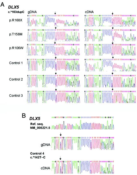 Figure  2. 