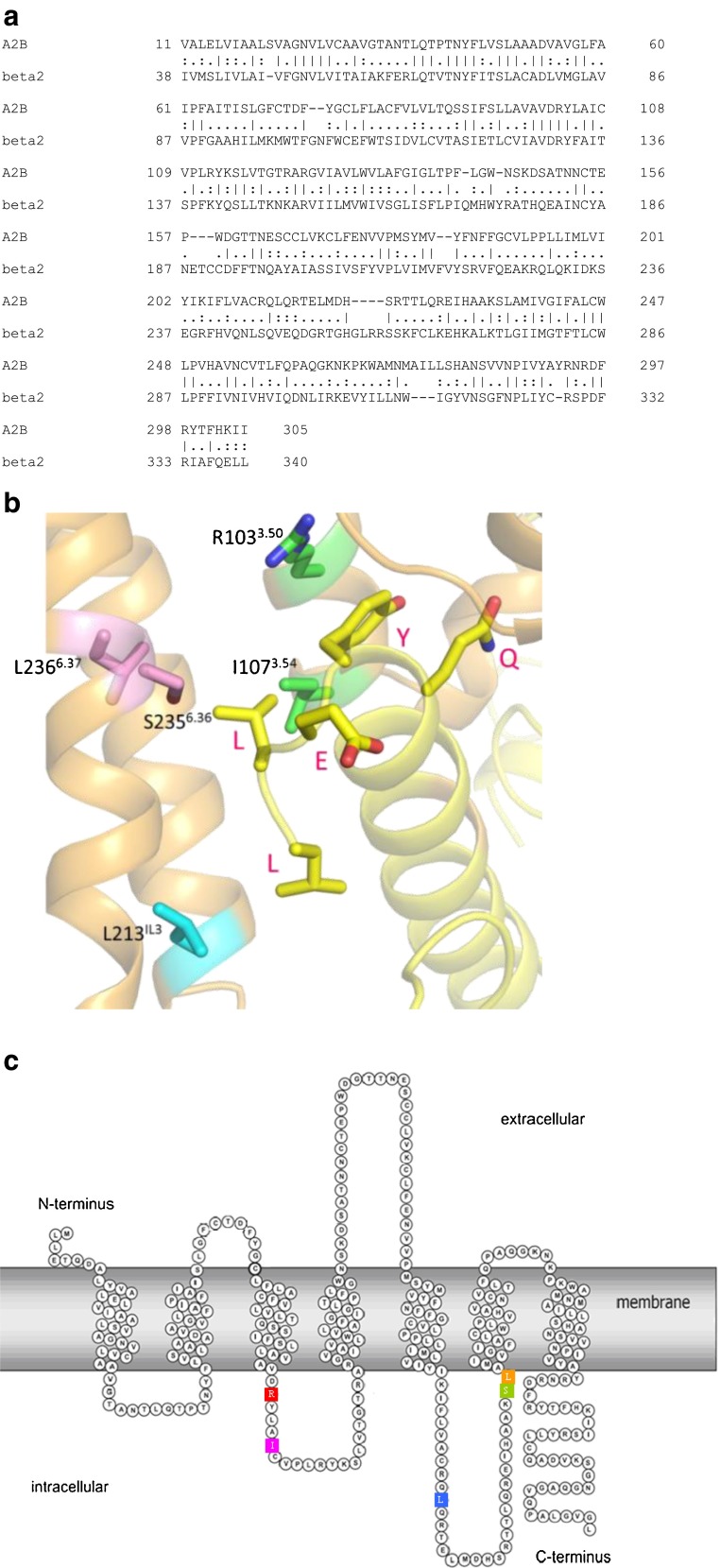 Fig. 2