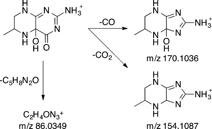 Scheme 5