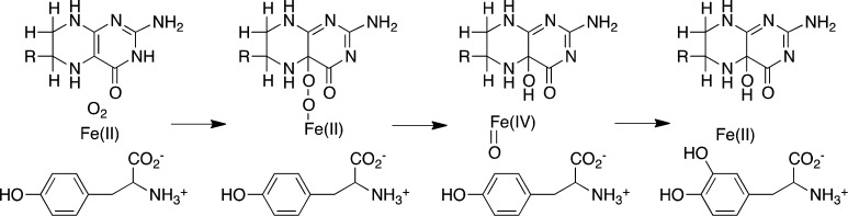 Scheme 6