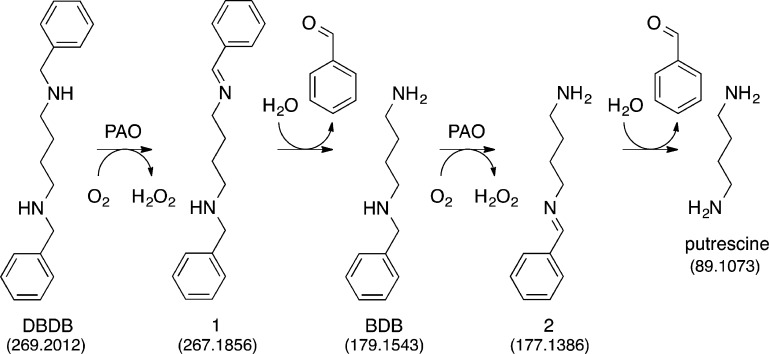 Scheme 3