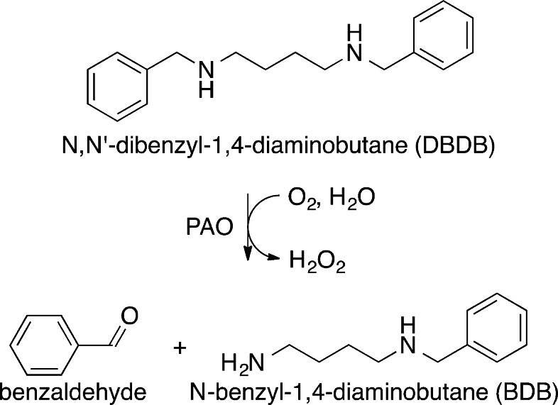 Scheme 2