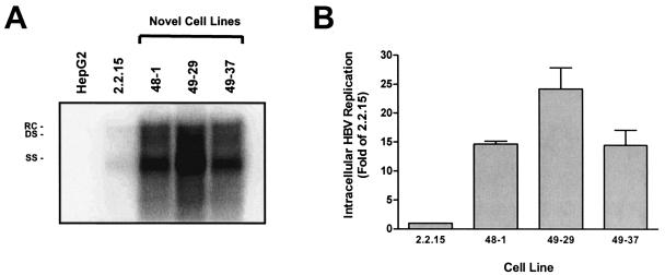 FIG. 2.