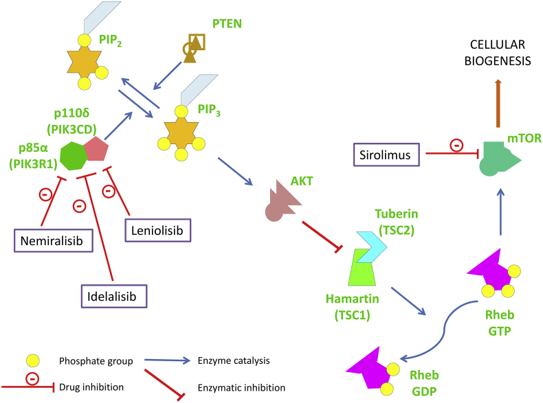 Figure 1