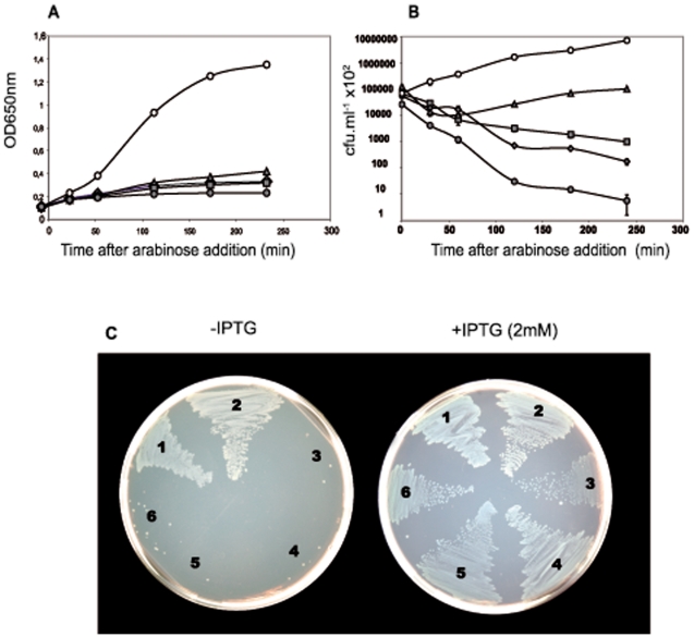 Figure 6