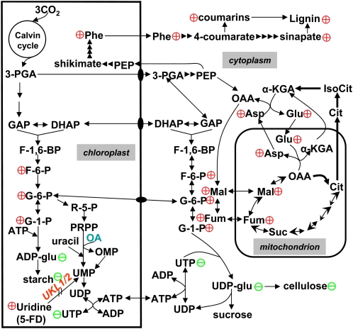 Figure 9.