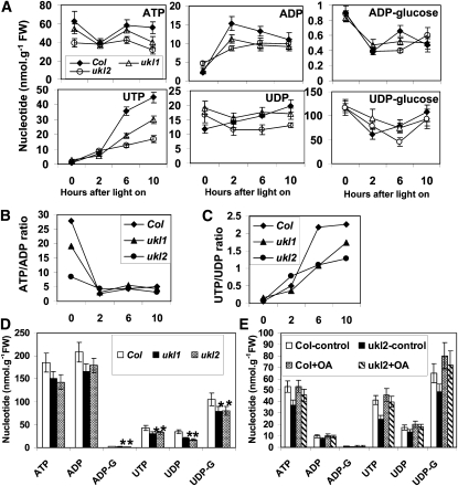 Figure 6.