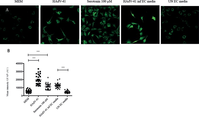 FIG 6