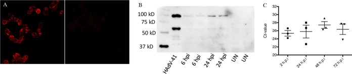 FIG 1