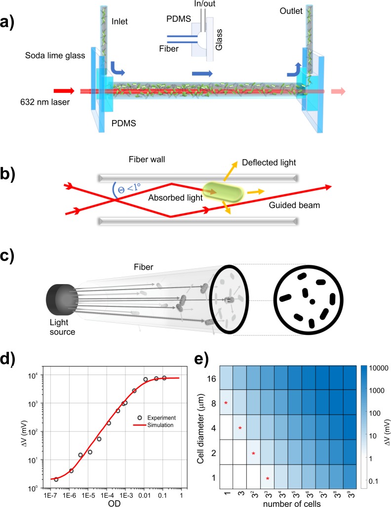 Fig 1