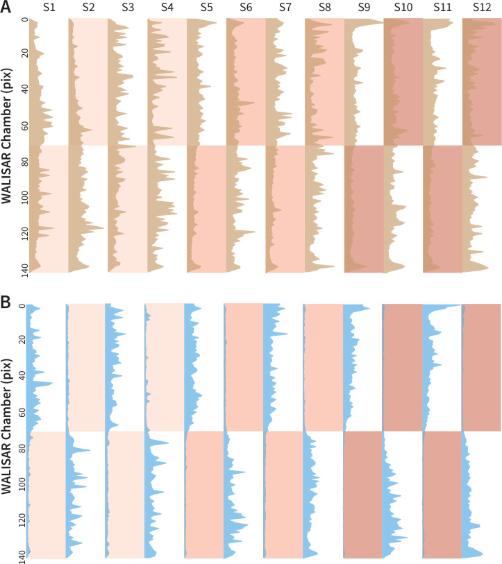 Figure 1—figure supplement 2.