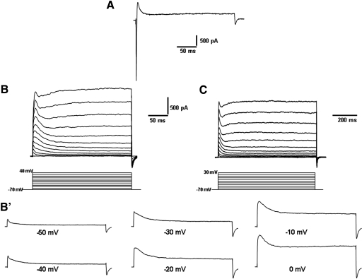 Fig. 4.