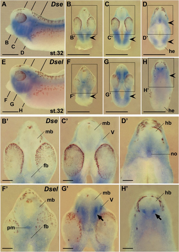 Fig 9