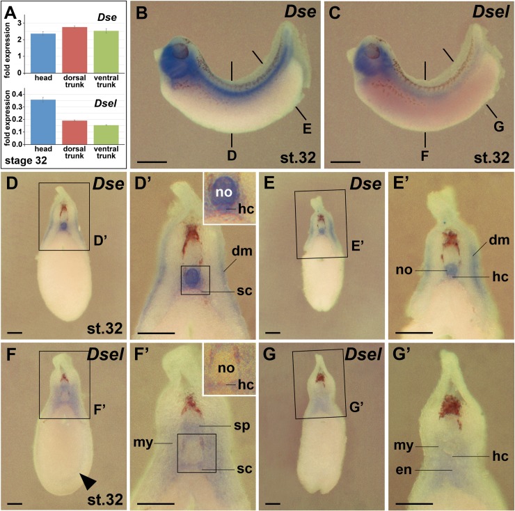 Fig 10