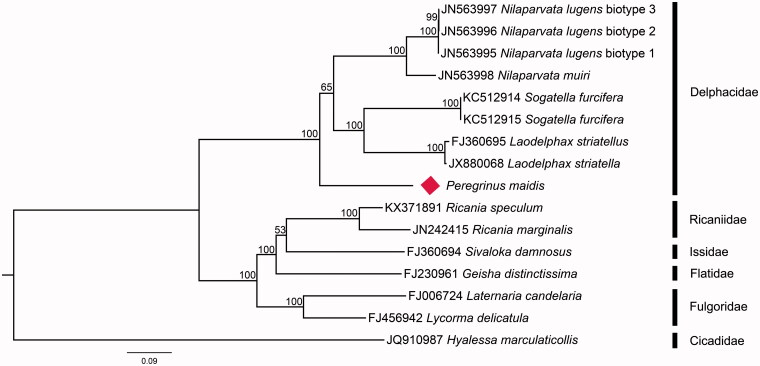 Figure 1.